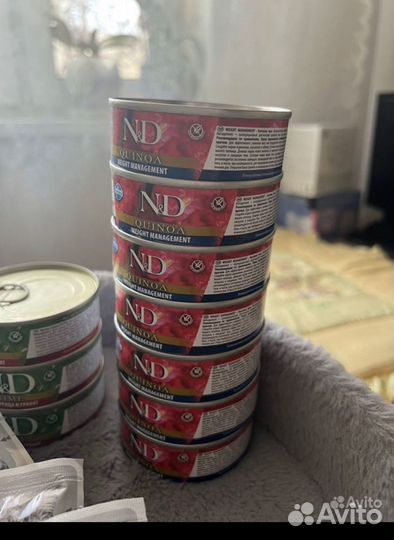 Влажный корм для кошек