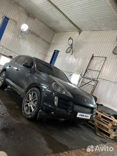 Porsche Cayenne S 4.5 AT, 2004, 250 000 км