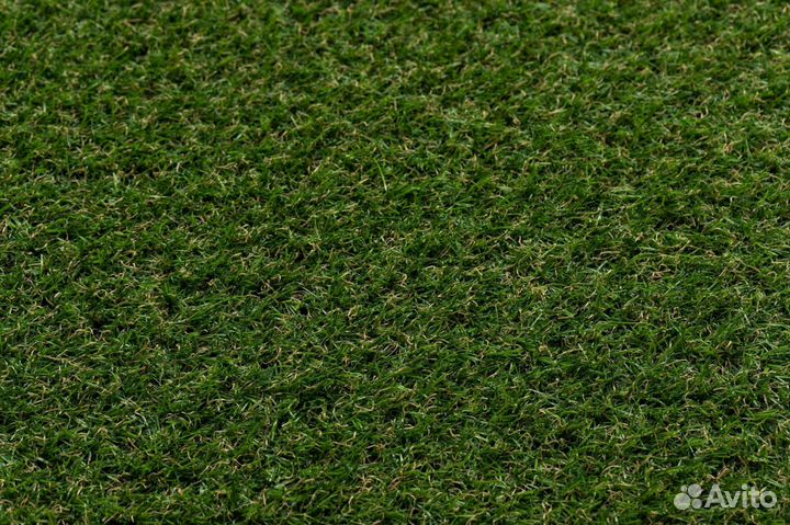Газон рулонный