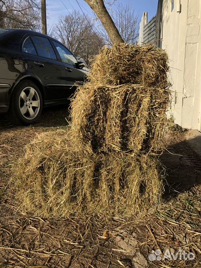 Сено в тюках для Декора, Животных и Мульчирования