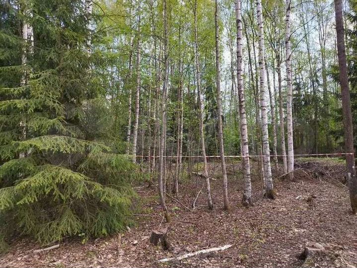 Участок 10 сот. (ИЖС)