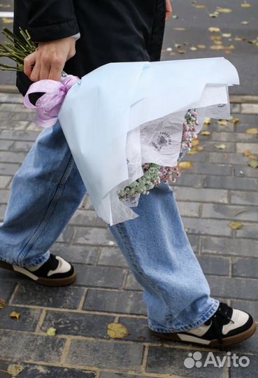 Гипсофила радужная