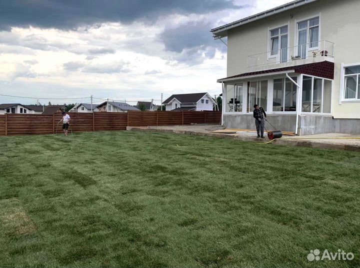 Газон. Рулонный газон