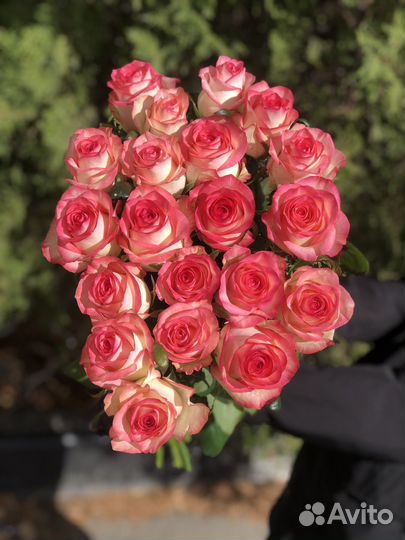 Цветы розы и букеты с доставкой
