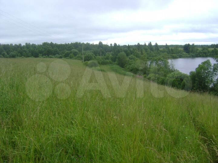 Участок 5,3 га (СНТ, ДНП)