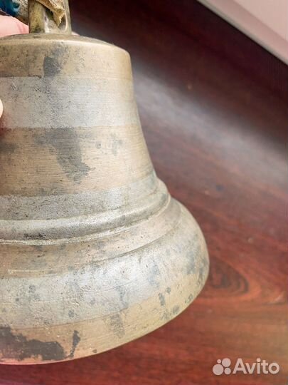 Колокольчик поддужный большой