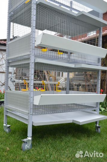 Клетки для бройлеров, кормушки для бройлеров