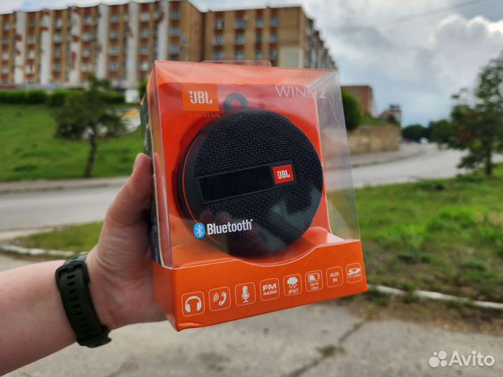 Колонка портативная JBL Wind 2