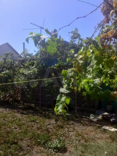 Дом 20 м² на участке 6 сот.