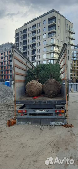 Грузоперевозки межгород фура 1, 5, 10, 20 тонн