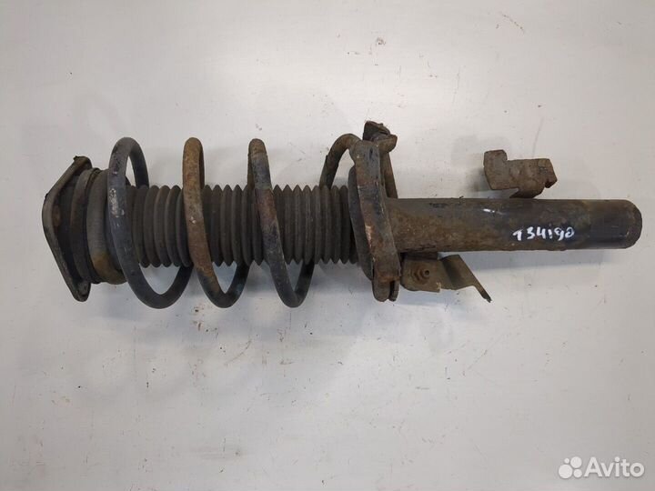 Амортизатор подвески Ford C-Max, 2009