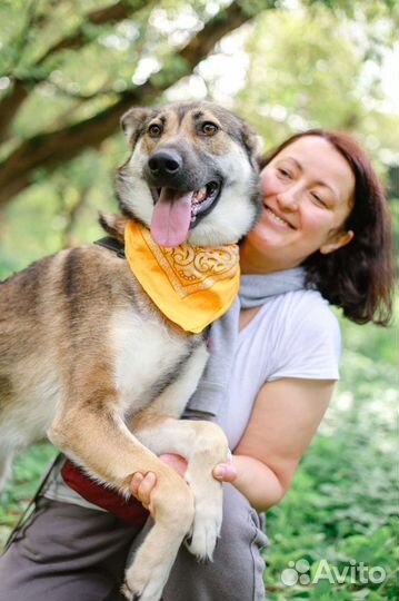 Собака в добрые руки, девочка Умка