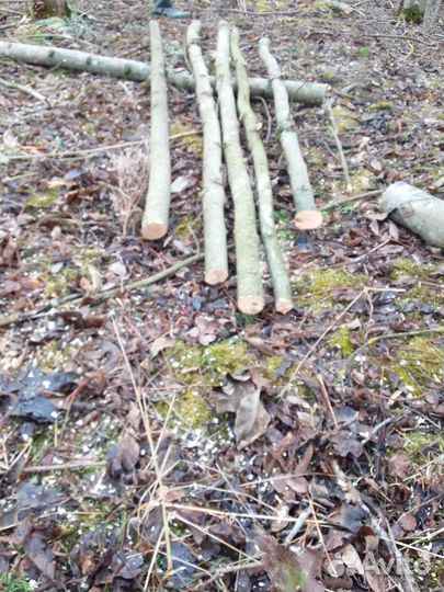 Дрова дубовые