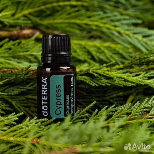 Dottera на розлив по 10 мл