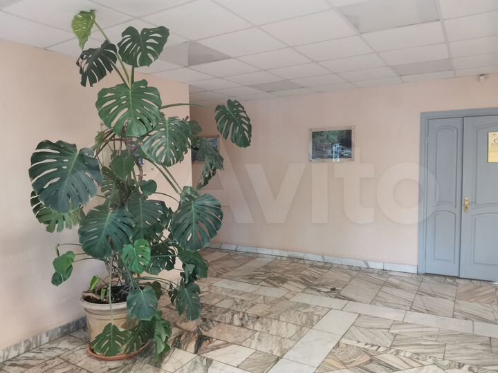 Офис, 33 м²