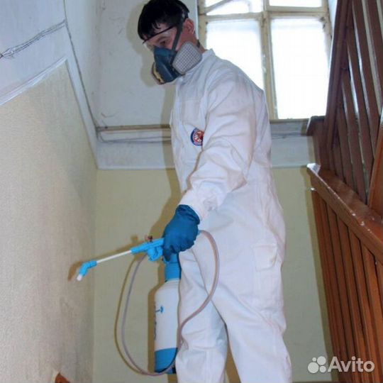 Средство для Дезинфекции Уничтожения тараканов клопов насекомых