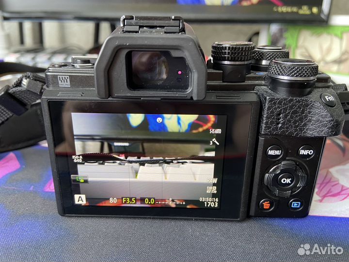 Olympus om d e m10 mark ii