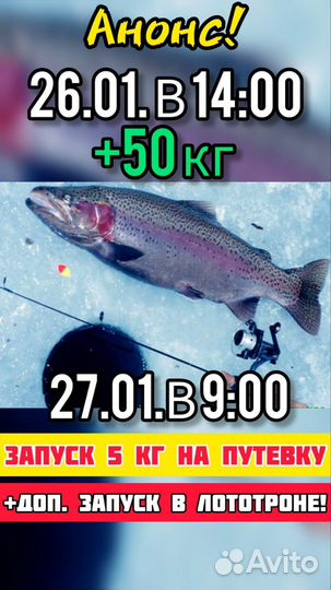 Платная Рыбалка