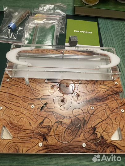 Муравьиная ферма без муравьев