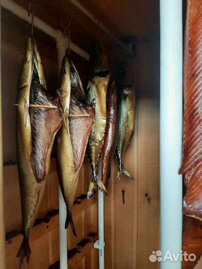 Электростатика для коптильни