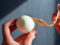 Обработчик (чистка) яйца Вахта Лен область