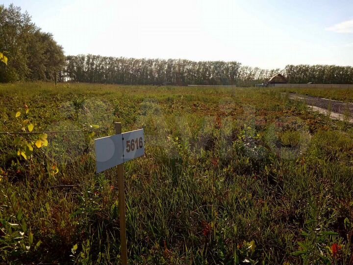 Участок 7 сот. (ИЖС)