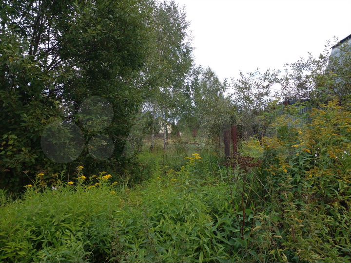 Участок 8 сот. (СНТ, ДНП)
