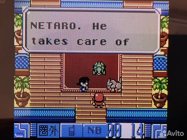 Картридж pokemon game boy