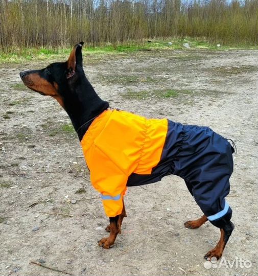 Дождевик для крупной собаки