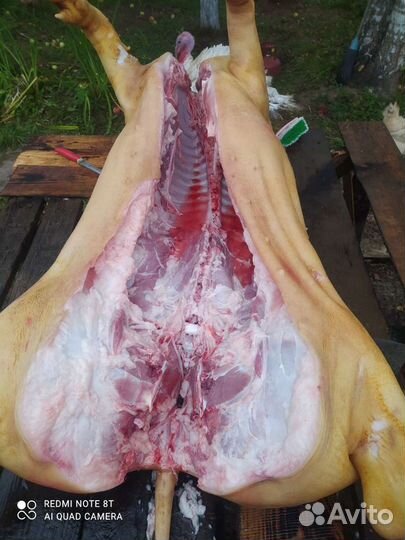 Домашние мясо свинина