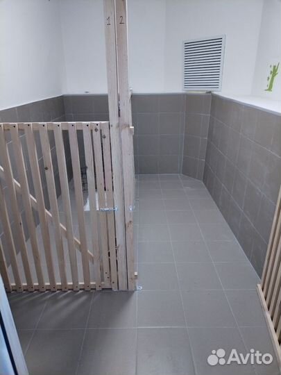 Передержка собак зоогостиница