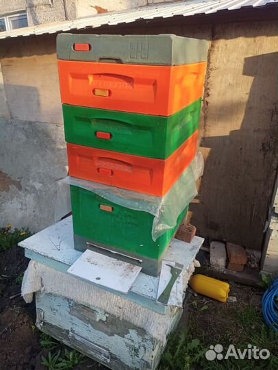 Улей для пчел ППУ Медведь