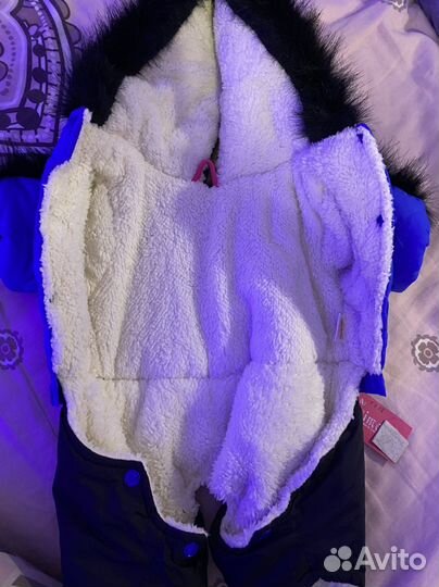 Одежда для животных