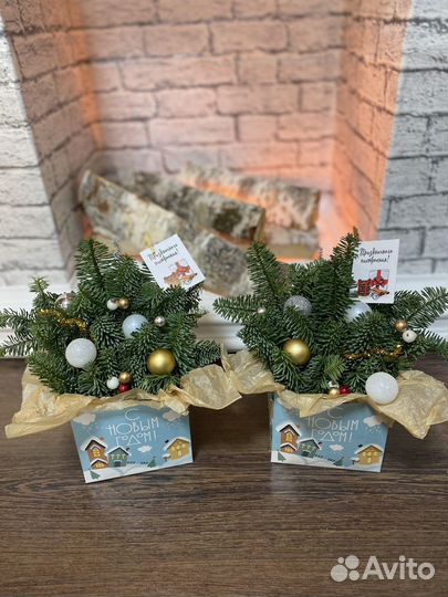 Композиции из нобилиса