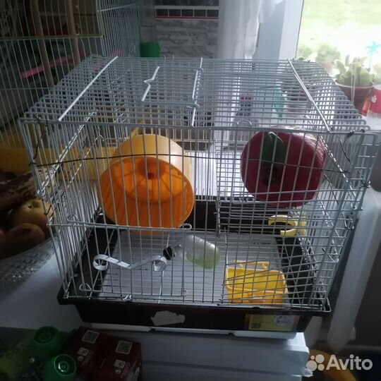 Клетка для джунгарского хомяка