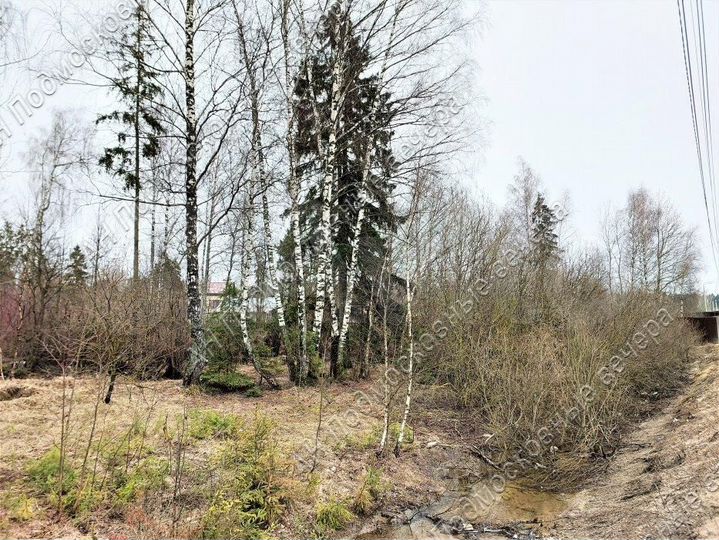 Участок 50 сот. (ИЖС)