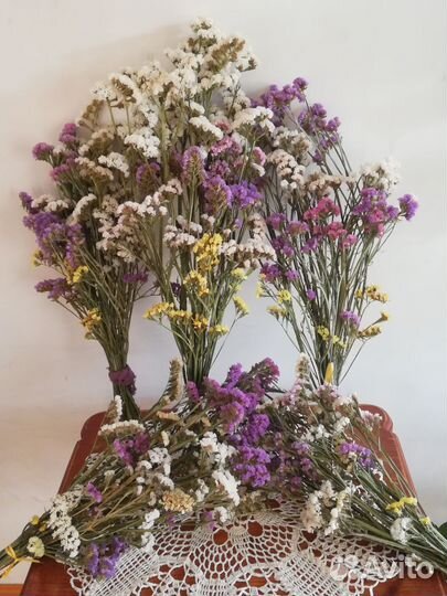 Статице, сухоцвет