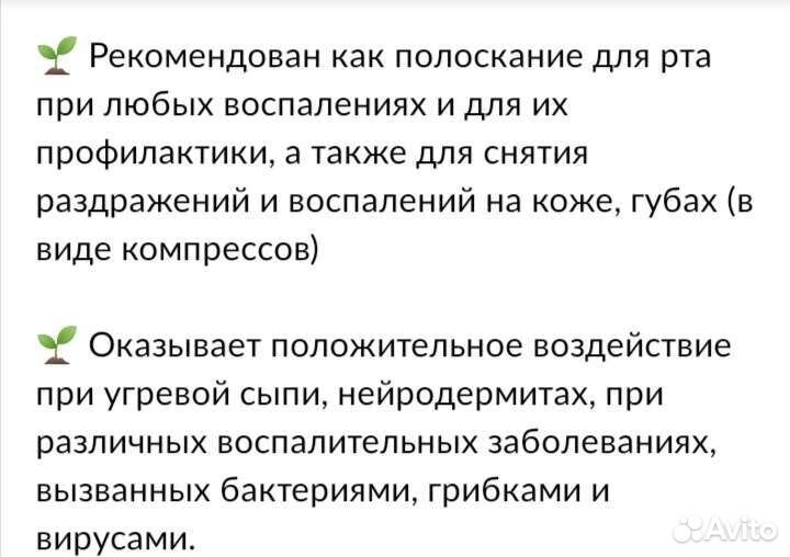 Ладанник Чай cistus incanus