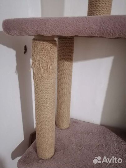 Когтеточка с домиком