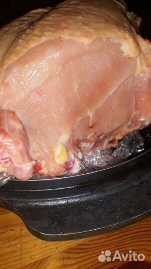 Индоутки, Гуси, яйца на инкубацию и еду