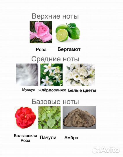 Thomas Kosmala A Never Ending love распив за 10мл