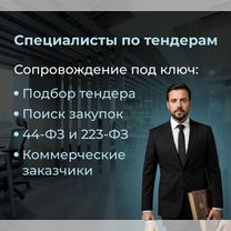 Тендерное сопровождение/44-фз/ 223-фз / Госзакупки, Петропавловск-Камчатский