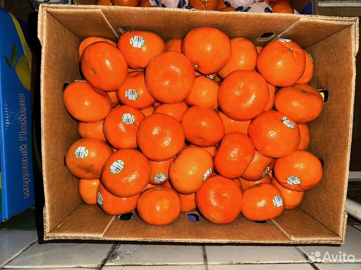 Сочные сладкие мандарины