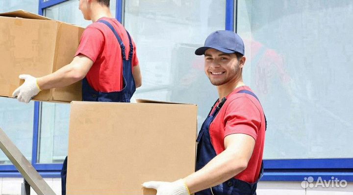 Вахта грузчик разнорабочий ежедневные выплаты