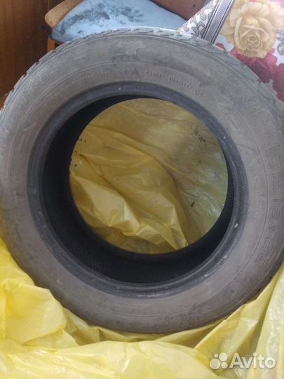 Gislaved Nord Frost 5 205/60 R16