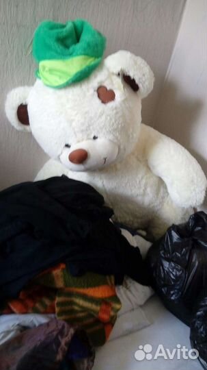 Большой мишка