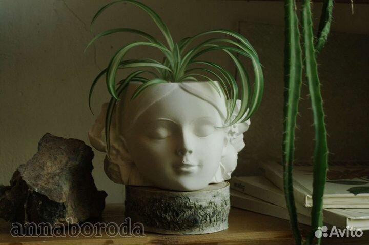 Кашпо-голова для цветов, гипс