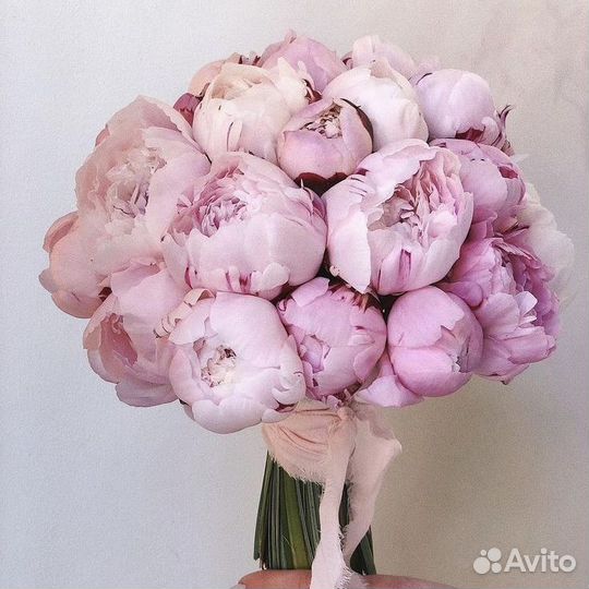 Букет невесты пионы