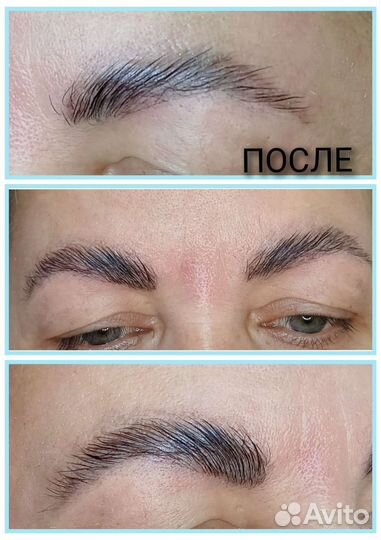 Мастер бровист