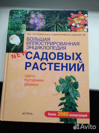 Большая иллюстр. Энциклопедия